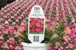 How to Read a Plant Tag