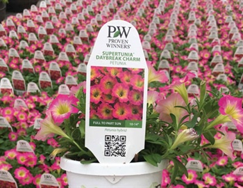 How to Read a Plant Tag