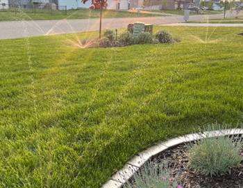 Benefits of Installing an Irrigation System for Your Lawn