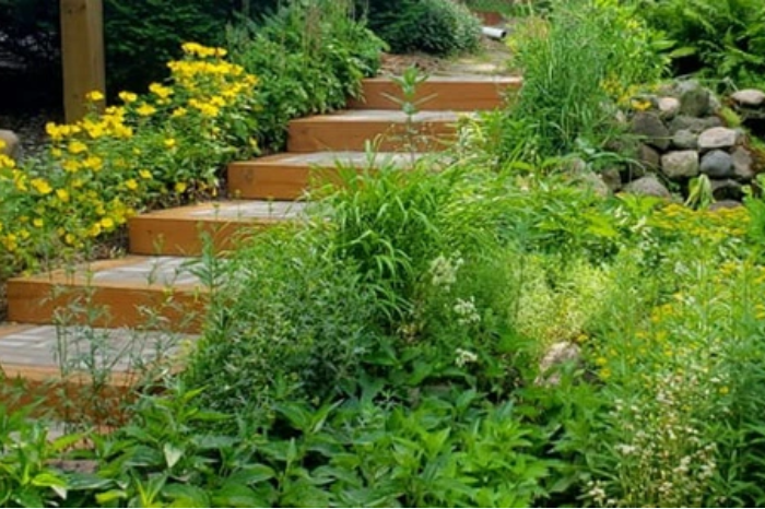 Select the Best Plants for Your Landscape: Expert Tips & Advice