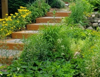 Select the Best Plants for Your Landscape: Expert Tips & Advice