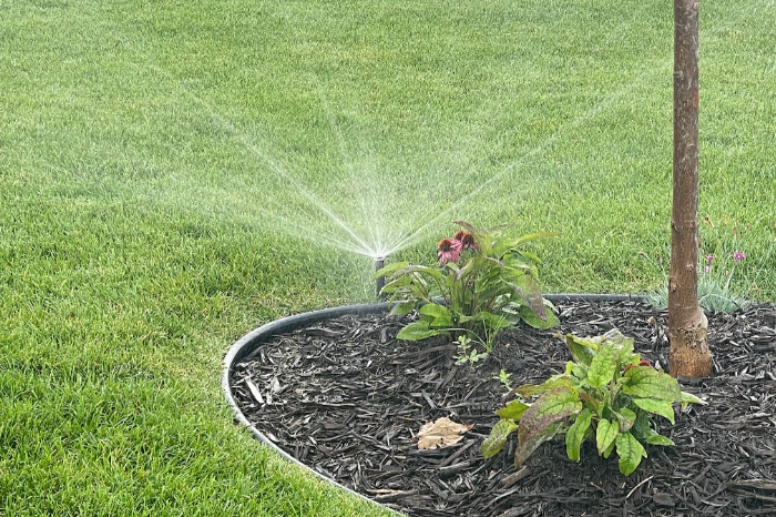 Best Irrigation Methods for Lawns & Gardens