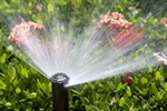 Professional Irrigation System Installation: Why It Matters