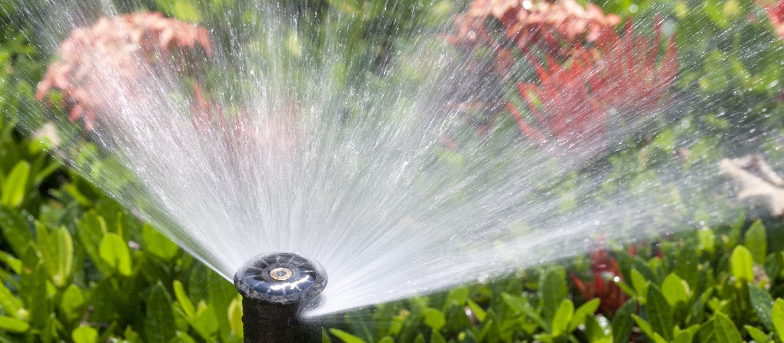 Professional Irrigation System Installation: Why It Matters
