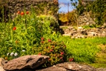 Sustainable Landscaping Practices for Eco-Friendly Gardens