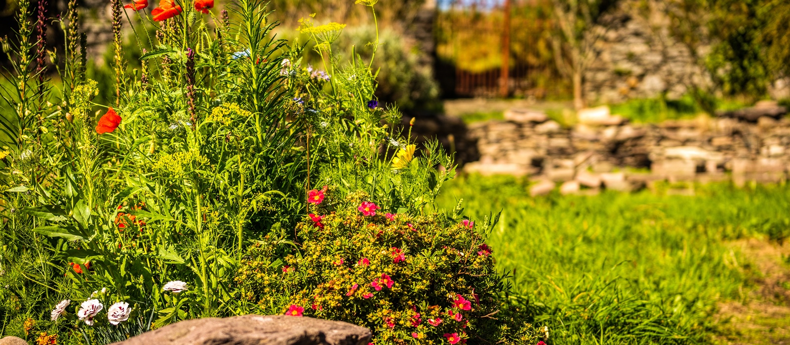 Sustainable Landscaping Practices for Eco-Friendly Gardens