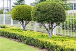 Privacy Landscaping: How to Blend Fencing with Natural Barriers