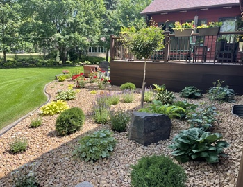 Landscaping for Drainage: Solving Water Runoff & Foundation Issues
