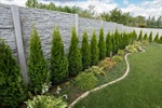 Landscaping for Privacy: Trees, Shrubs & Creative Fence Ideas