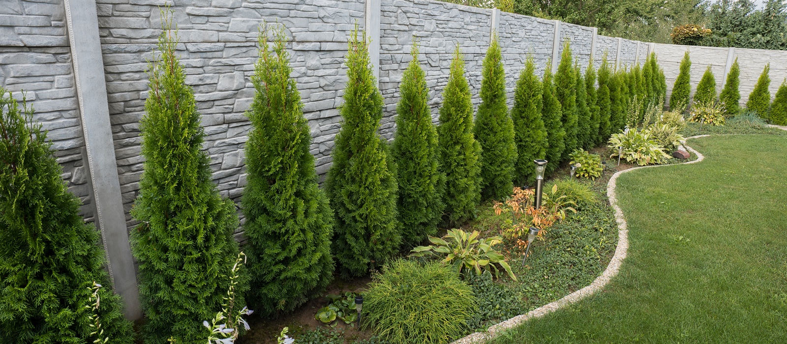 Landscaping for Privacy: Trees, Shrubs & Creative Fence Ideas