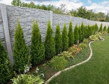 Landscaping for Privacy: Trees, Shrubs & Creative Fence Ideas