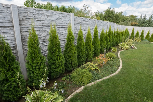Landscaping for Privacy: Trees, Shrubs & Creative Fence Ideas