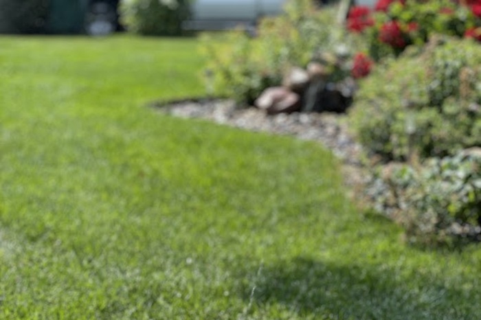 Fall Prep Lawn Care: What to Trim, Mulch, or Let Go Until Spring