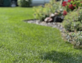 Fall Prep Lawn Care: What to Trim, Mulch, or Let Go Until Spring
