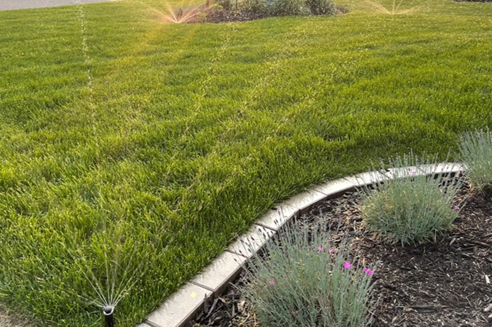 How Does Irrigation Installation Differ Between New Landscapes and Existing Yards?
