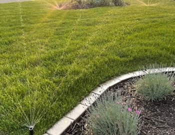 How Does Irrigation Installation Differ Between New Landscapes and Existing Yards?