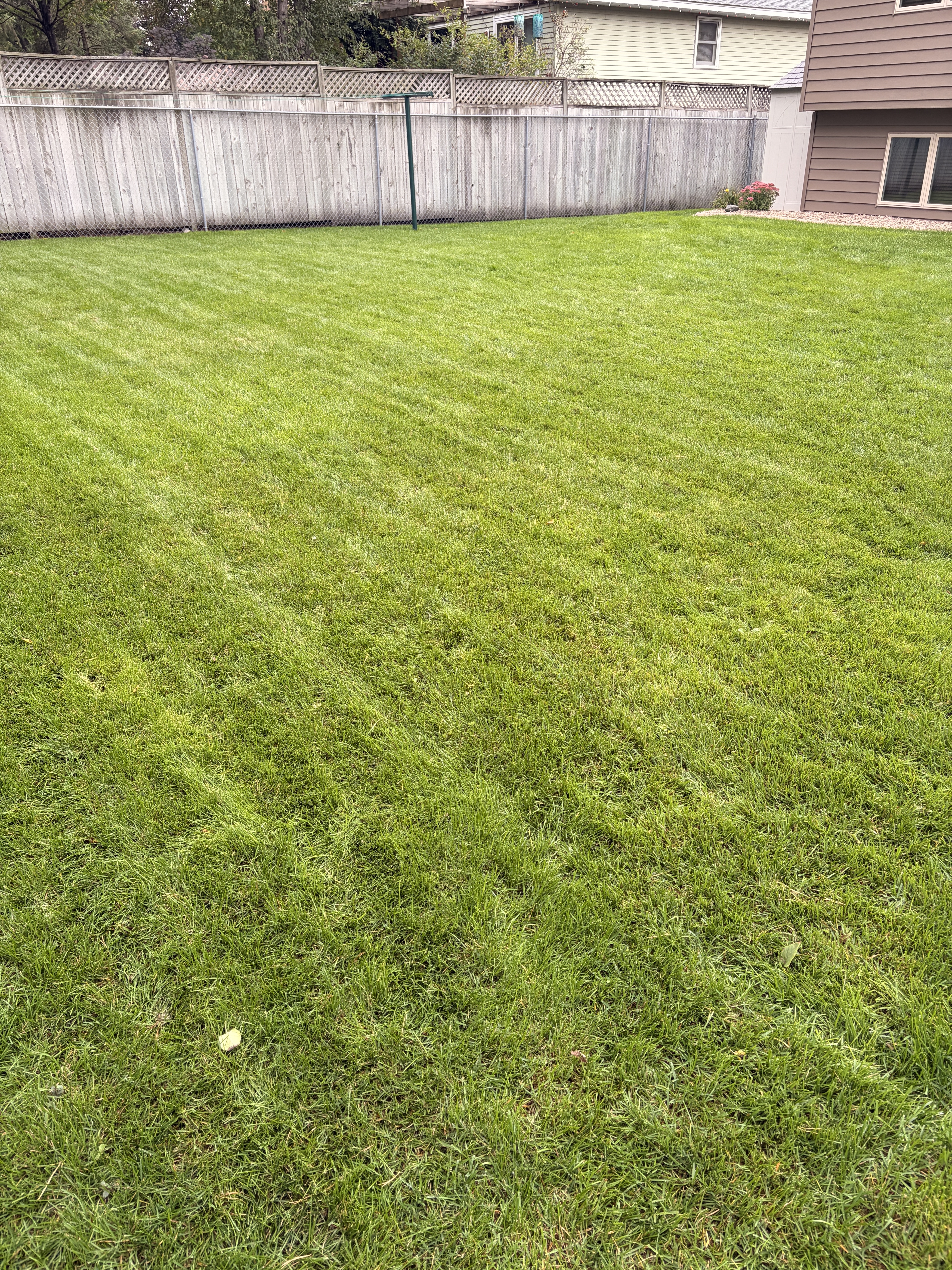 Smart Solutions for the Backyard Harvest: A Custom Fence-Mounted Irrigation System in Andover, MN