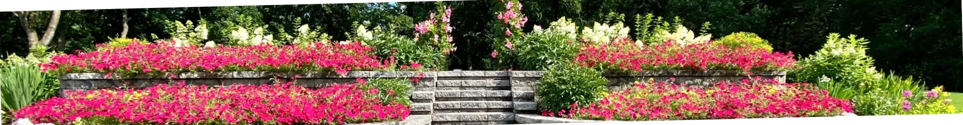 Rock Landscaping