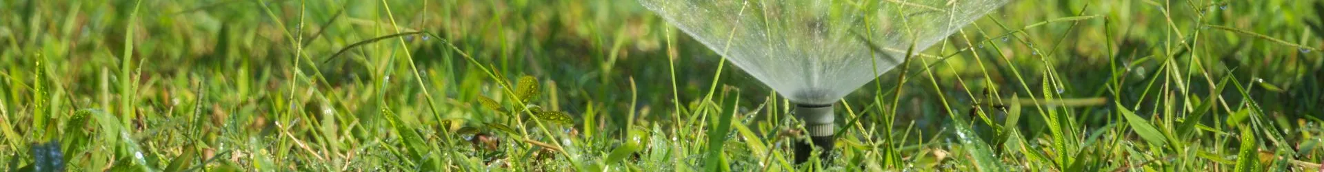 Sprinkler