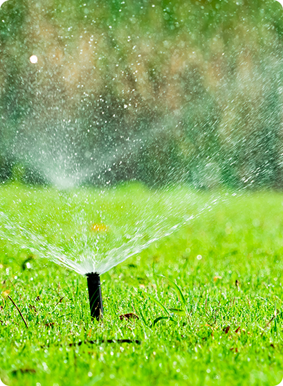 Irrigation Sprinkler System