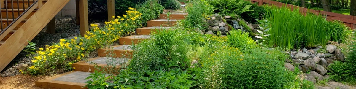 Perennial Garden