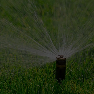 Irrigation Sprinkler