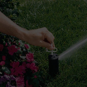 Sprinkler Maintenance